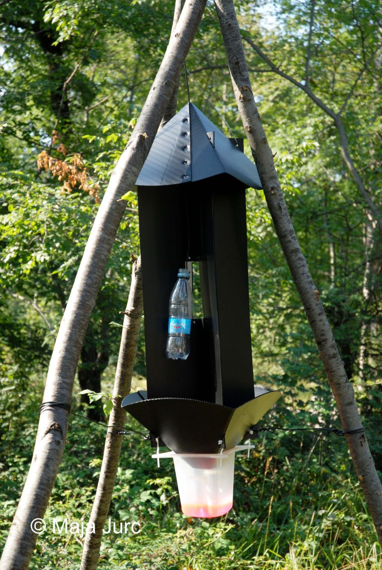 DSC_0647-monoch-past1