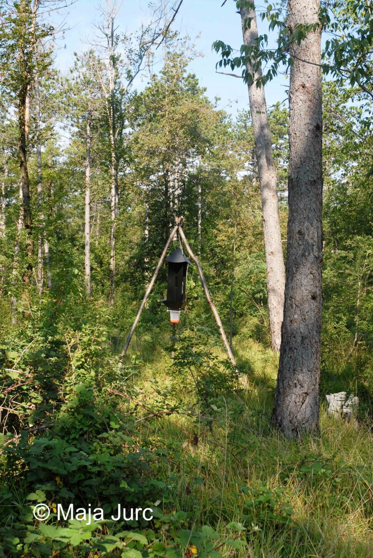 DSC_0647-monoch-past2