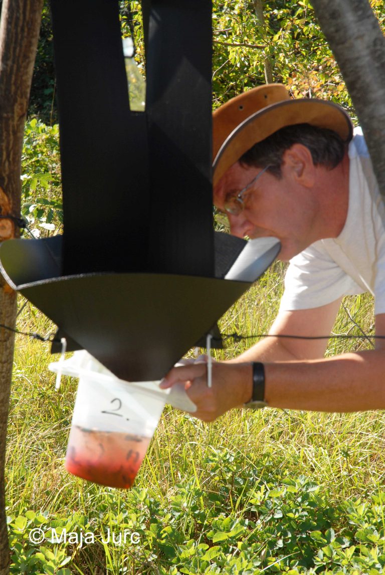 DSC_0661-antifriz2vert (2)